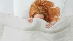 Dekbed Bovenste Beste Wol 4-seizoenen -Wolkbed Winkel Dekbed Bovenste Beste wol 4 seizoenen 2