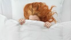 Dekbed Capella 15% Dons 4-seizoenen -Wolkbed Winkel Dekbed Capella 15 dons 4 seizoenen 2