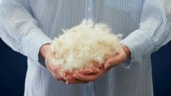 Dekbed Superieur 90% Dons Voor-/najaar 12 Dekbed Superieur 90% Dons Voor-/najaar -Wolkbed Winkel Dekbed Gold 90 dons alle seizoenen 1