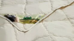 Dekbed Multikeus 200 Wol Zomer 11 Dekbed Multikeus 200 Wol Zomer -Wolkbed Winkel Dekbed Multikeus 200 wol zomer 3