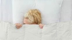 Dekbed Puurnatuur Wol 4-seizoenen -Wolkbed Winkel Dekbed Puurnatuur wol 4 seizoenen 2