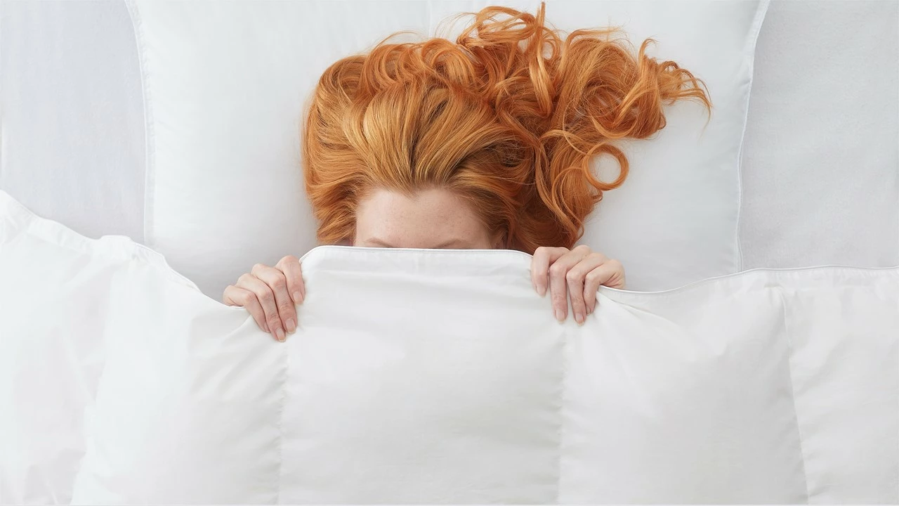 Dekbed Silvana Royale Extra Warm 100% Dons Winter 5 Dekbed Silvana Royale Extra Warm 100% Dons Winter - Afbeelding 3