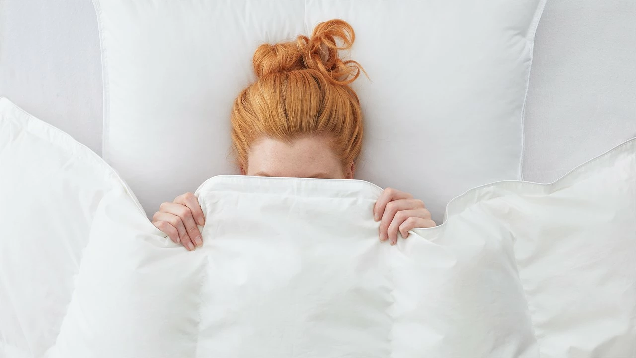 Dekbed Silvana Royale Medium 100% Dons Voor/najaar 5 Dekbed Silvana Royale Medium 100% Dons Voor/najaar - Afbeelding 3