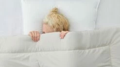 Dekbed Slaapzacht Wol 4-seizoenen -Wolkbed Winkel Dekbed Slaapzacht wol 4 seizoenen 2