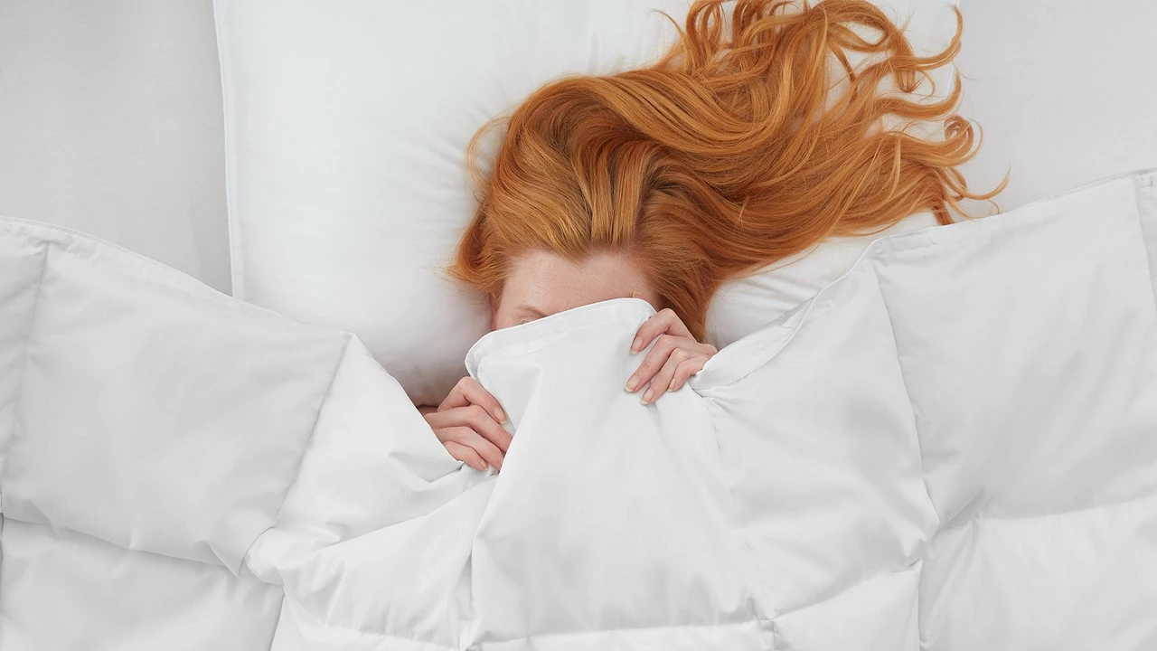 Dekbed Superieur 90% Dons Voor-/najaar 5 Dekbed Superieur 90% Dons Voor-/najaar - Afbeelding 3