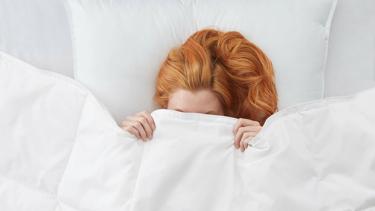 Dekbed Superieur 90% Dons Zomer 5 Dekbed Superieur 90% Dons Zomer - Afbeelding 3