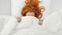 Dekbed Taurus 90% Dons 4-seizoenen 10 Dekbed Taurus 90% Dons 4-seizoenen -Wolkbed Winkel Dekbed Taurus 90 dons 4 seizoenen 2