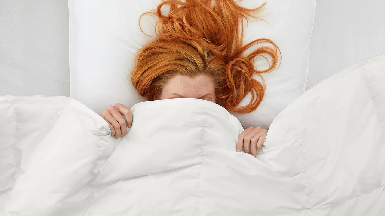 Dekbed Taurus 90% Dons 4-seizoenen 5 Dekbed Taurus 90% Dons 4-seizoenen - Afbeelding 3