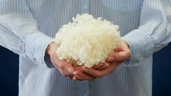 Dekbed Puurnatuur Wol 4-seizoenen -Wolkbed Winkel Hoofdkussen Soezzz Perfection 1